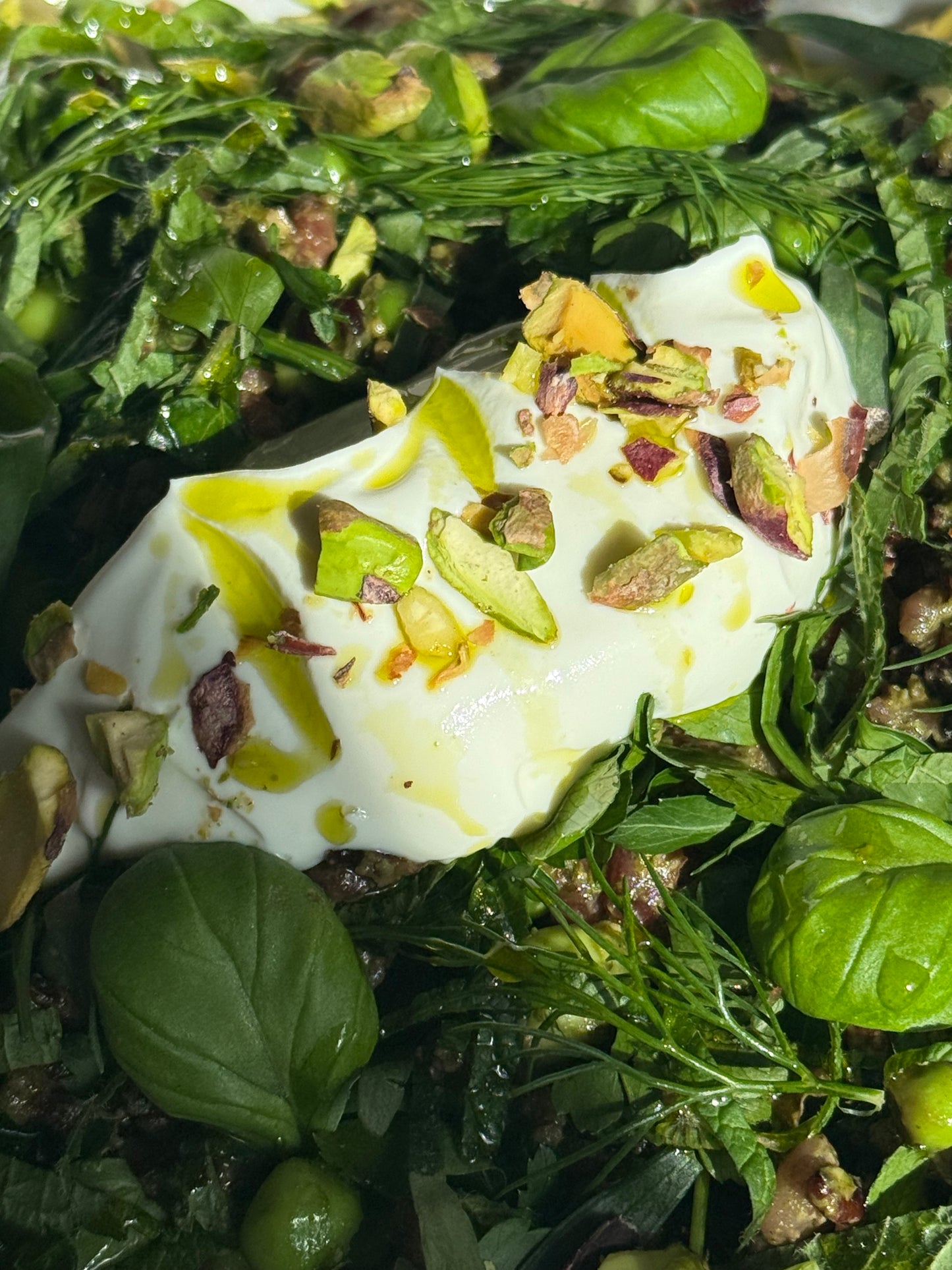 Forest Greens Bärlauch Pesto with Barley & Black Rice, Edamame, Sahne Yogurt & Pistachios