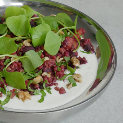 Salad with red and green elements on a metal plate against a gray background